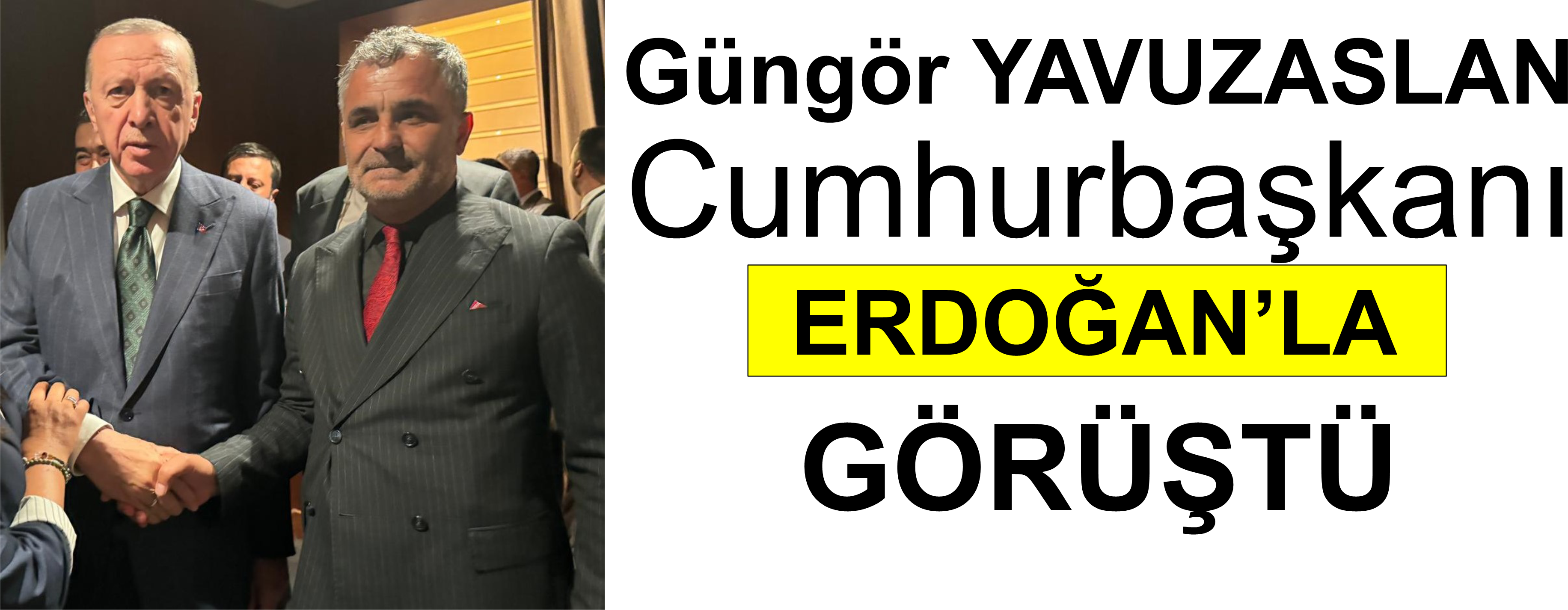 Güngör Yavuzaslan, Cumhurbaşkanı Erdoğan'la görüştü
